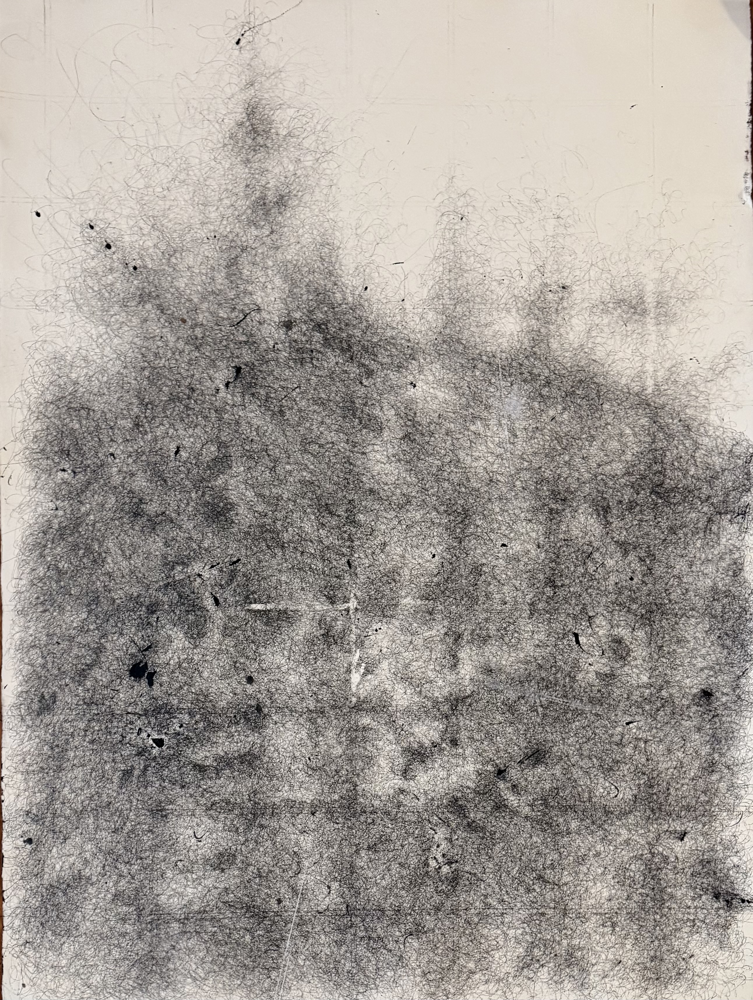 versuchsan|unordnung II | 106 x 76 cm | 2000,00 €